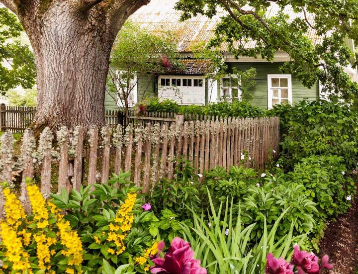 Un jardin personnalisé Guadeloupe