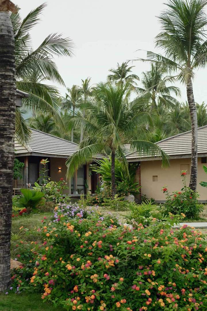 Un jardin florissant Guadeloupe