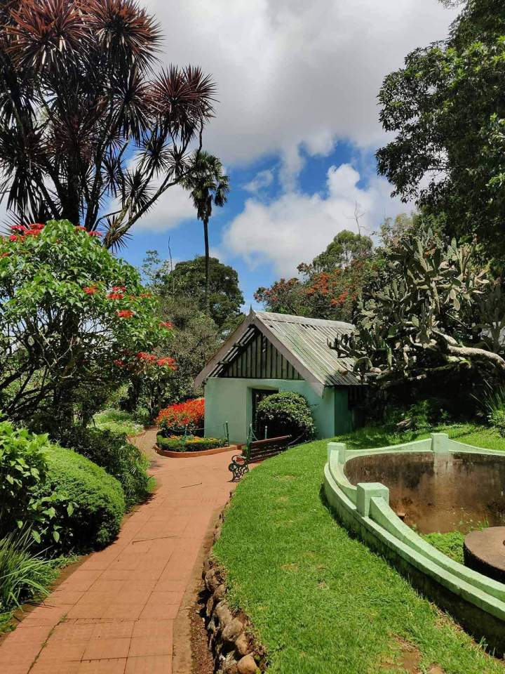 Taille de haies et tonte de pelouses