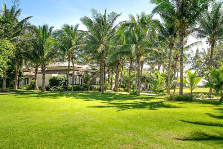 Création de jardin tropical Guadeloupe