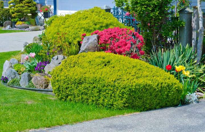 Création du jardin de vos rêves Guadeloupe