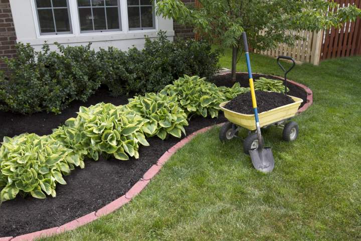Aménagement de jardin, Saint-François