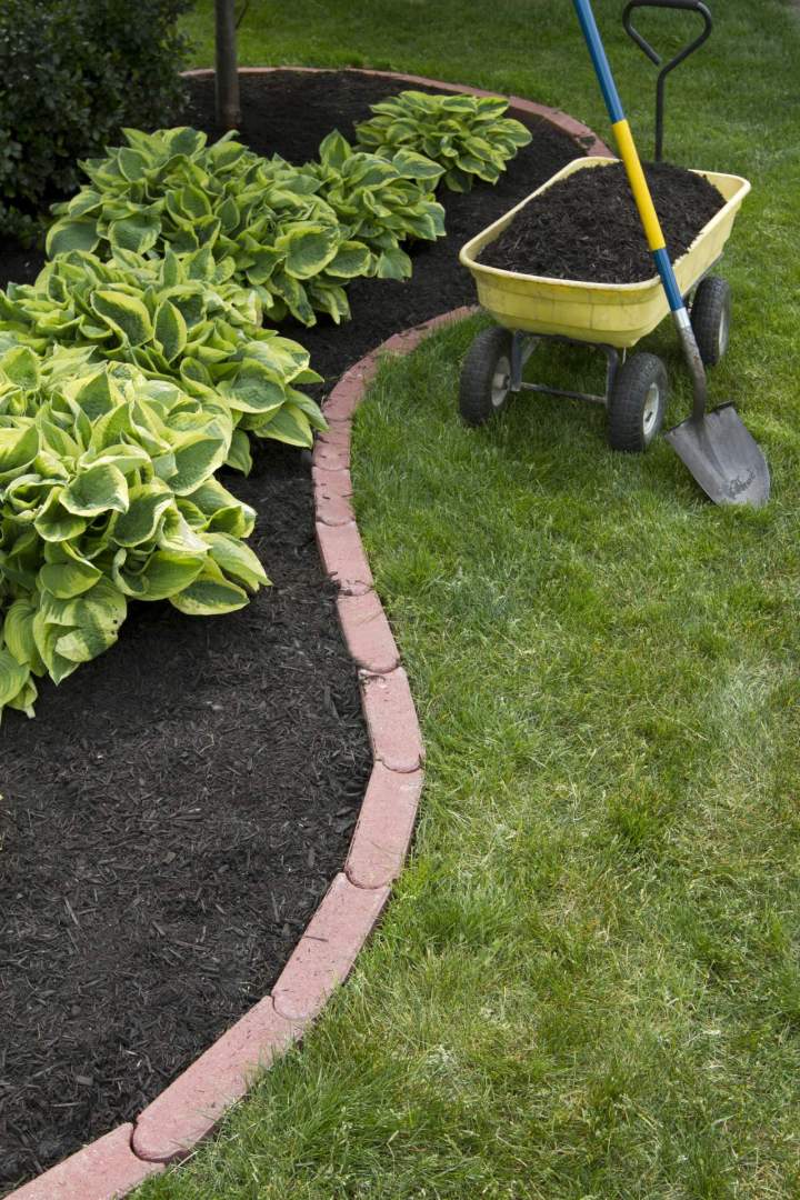 Entretien de jardin, Saint-François